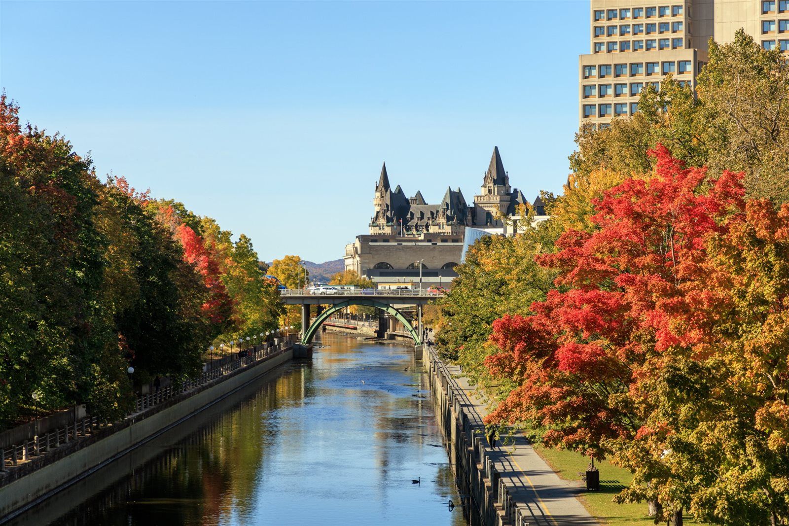The Ottawa skyline with Parliament representing the local physiotherapy market